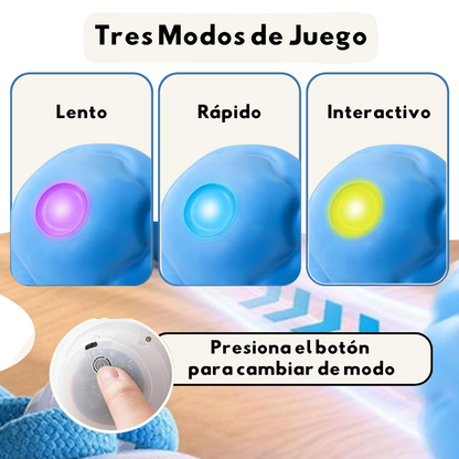 Pelota Malvada 360º Para Perros