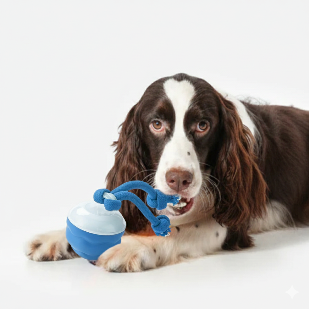 Pelota Malvada 360º Para Perros