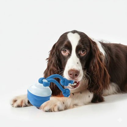 Pelota Malvada 360º Para Perros