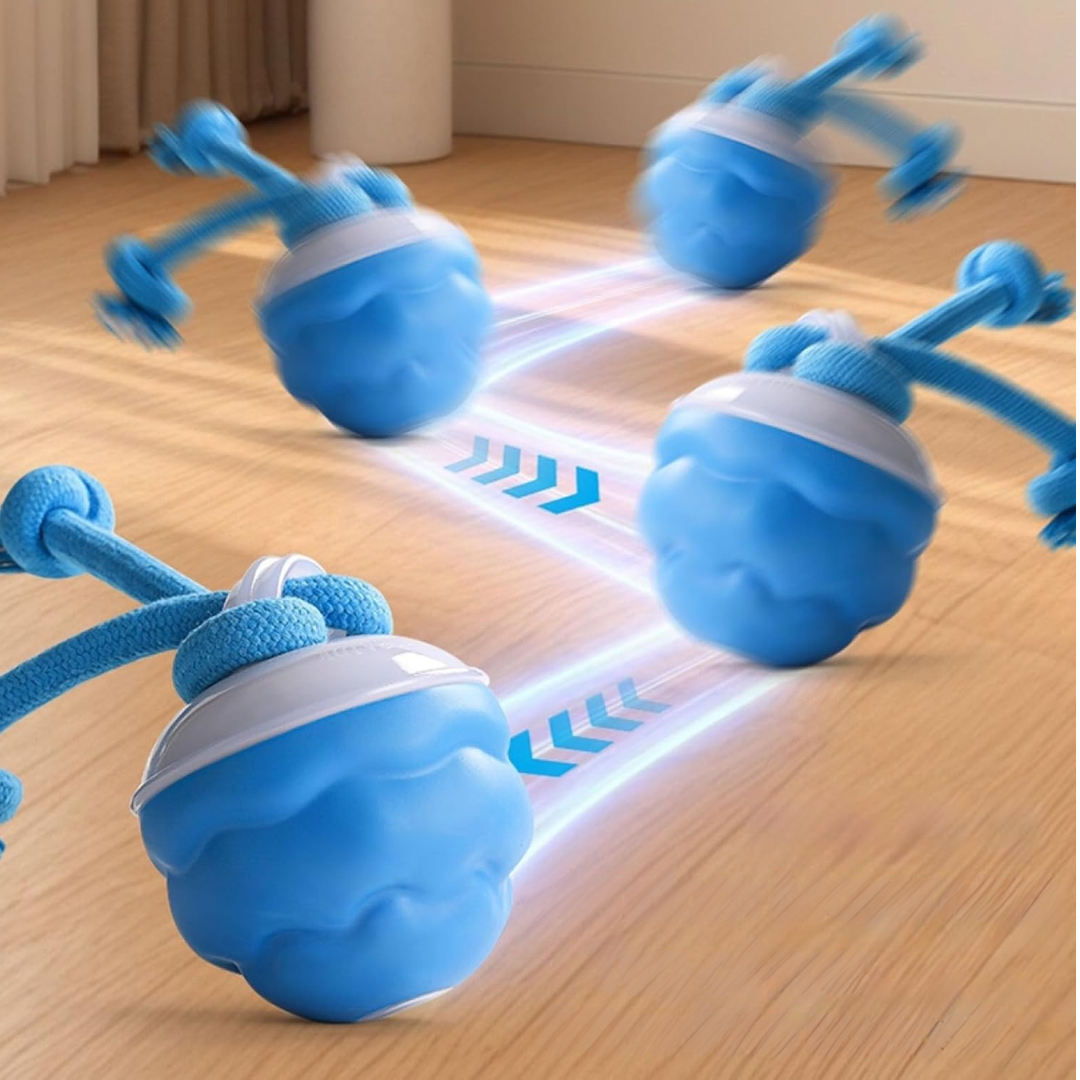 Pelota Malvada 360º Para Perros